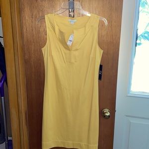 New York and company dress